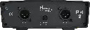 P-Di2_2.webp
