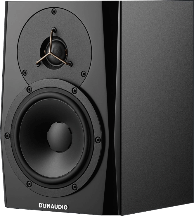 LYD 5 black