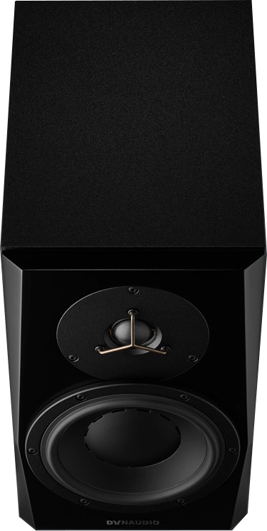 LYD 7 black