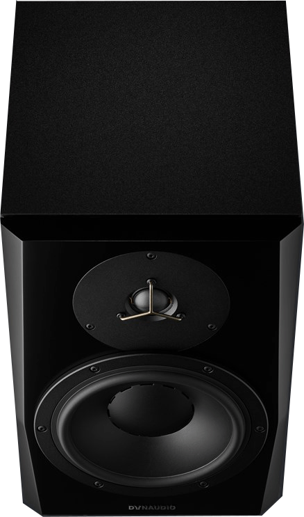LYD 8 black
