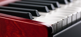 Nord Electro 6 HP