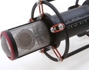 Reference Cardioid Mic