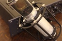 Reference Silver Microphone