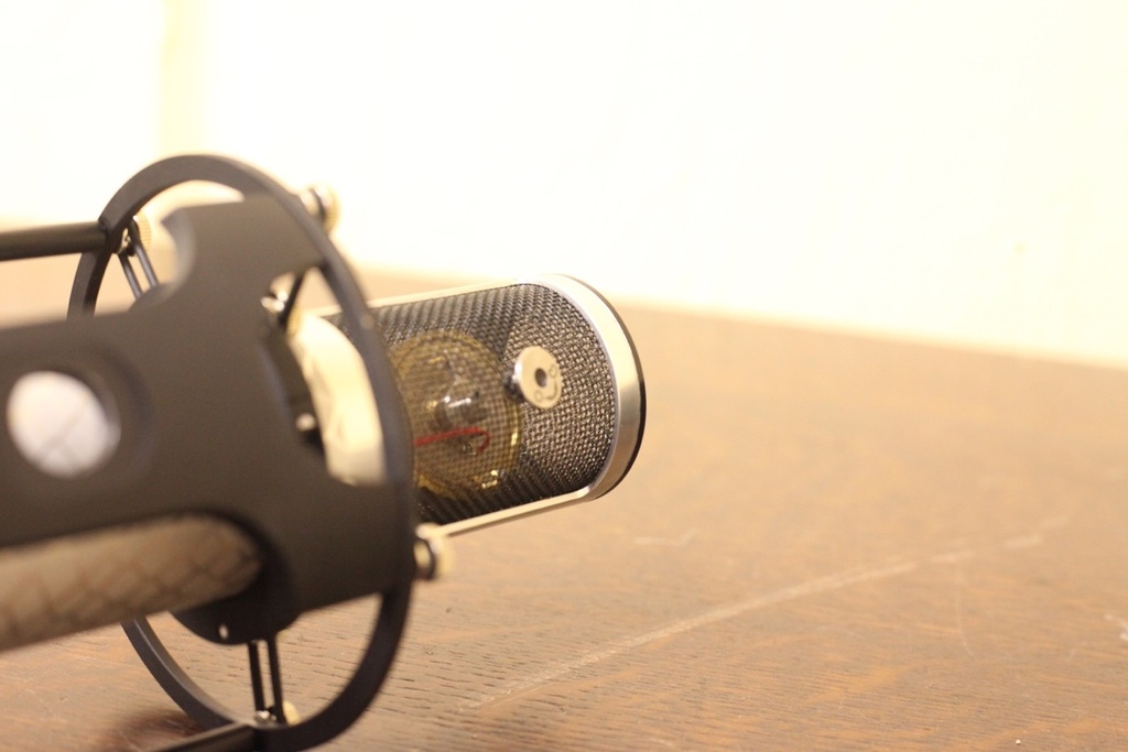 Reference Silver Microphone