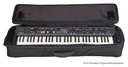 YC61 Softcase