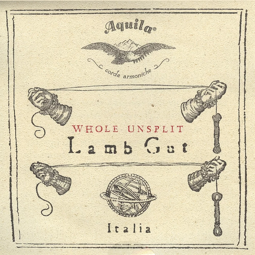 Aquila 101FU