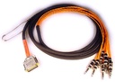 Avid Digisnake DB25-TRS 4' / 1,2m